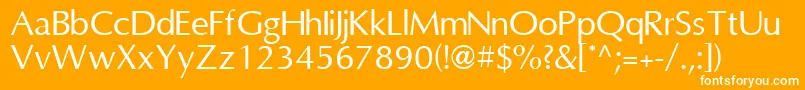 OmniRegular-Schriftart – Weiße Schriften auf orangefarbenem Hintergrund