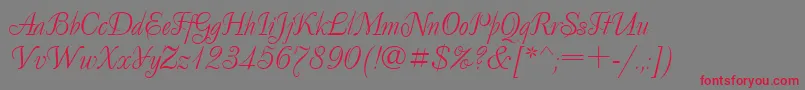 DecorCyrillic Font – Red Fonts on Gray Background