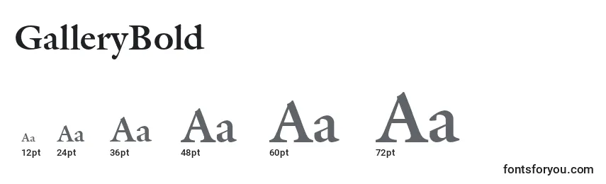 sizes of gallerybold font, gallerybold sizes