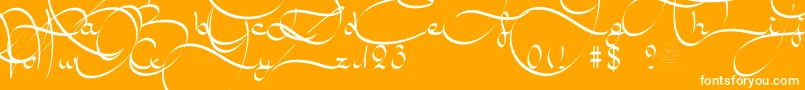 AmalScript Font – White Fonts on Orange Background