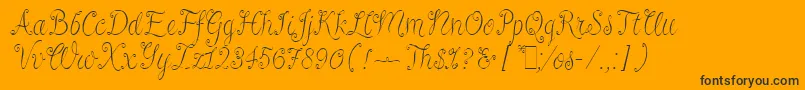 RivaLetPlain.1.0 Font – Black Fonts on Orange Background