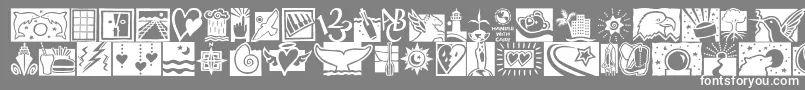 DfconnectivitiesitcTt Font – White Fonts on Gray Background