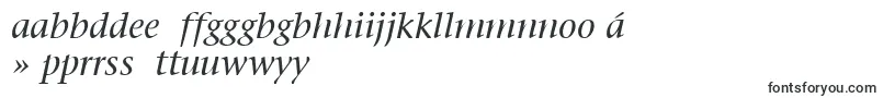 フォントItcStoneSerifLtItalic – ヨルバ文字