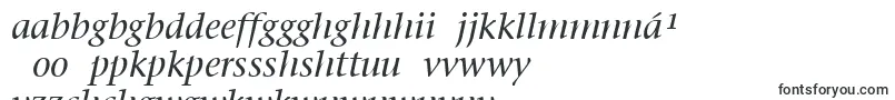 フォントItcStoneSerifLtItalic – イボ文字
