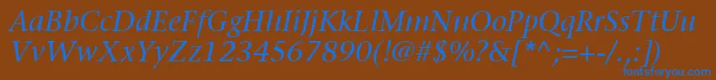 ItcStoneSerifLtItalic Font – Blue Fonts on Brown Background