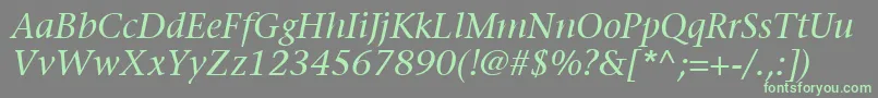ItcStoneSerifLtItalic Font – Green Fonts on Gray Background