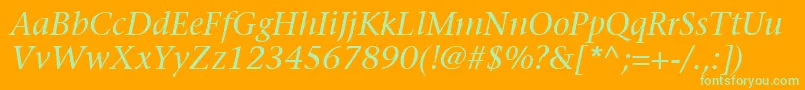 ItcStoneSerifLtItalic Font – Green Fonts on Orange Background