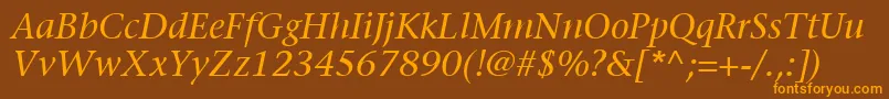 ItcStoneSerifLtItalic Font – Orange Fonts on Brown Background