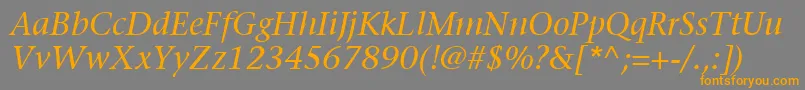 ItcStoneSerifLtItalic Font – Orange Fonts on Gray Background