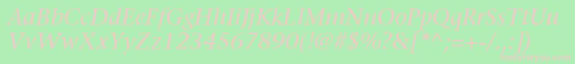 ItcStoneSerifLtItalic Font – Pink Fonts on Green Background