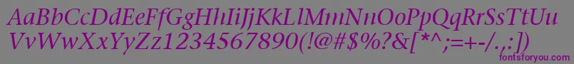 ItcStoneSerifLtItalic Font – Purple Fonts on Gray Background