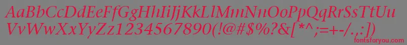 フォントItcStoneSerifLtItalic – 赤い文字の灰色の背景