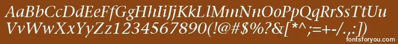 ItcStoneSerifLtItalic Font – White Fonts on Brown Background