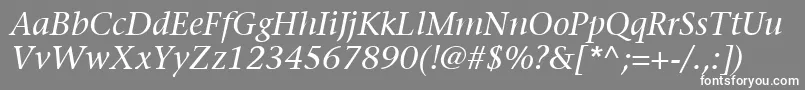 ItcStoneSerifLtItalic Font – White Fonts on Gray Background