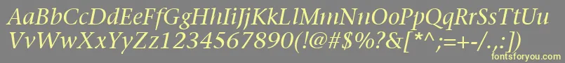 ItcStoneSerifLtItalic Font – Yellow Fonts on Gray Background