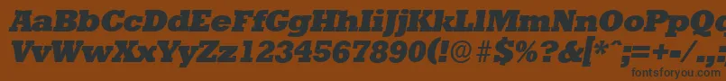 StaffordserialHeavyItalic Font – Black Fonts on Brown Background