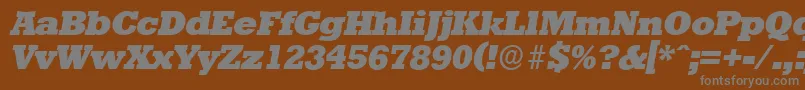 StaffordserialHeavyItalic Font – Gray Fonts on Brown Background