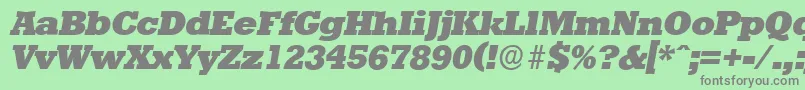 StaffordserialHeavyItalic Font – Gray Fonts on Green Background
