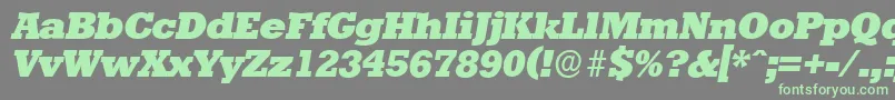フォントStaffordserialHeavyItalic – 灰色の背景に緑のフォント