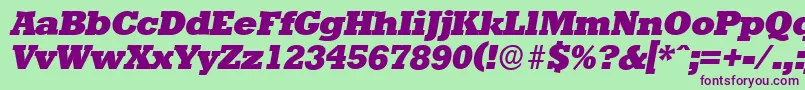 StaffordserialHeavyItalic Font – Purple Fonts on Green Background
