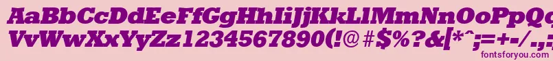 StaffordserialHeavyItalic Font – Purple Fonts on Pink Background