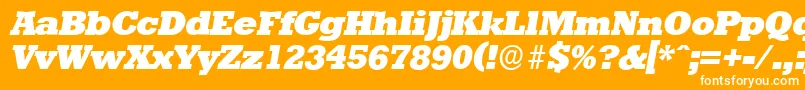 StaffordserialHeavyItalic Font – White Fonts on Orange Background