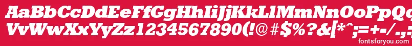 Czcionka StaffordserialHeavyItalic – białe czcionki na czerwonym tle