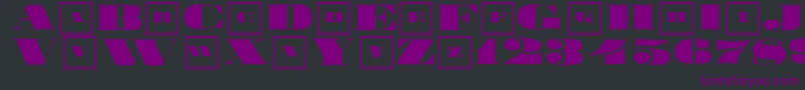 Bigbrotherclassizism Font – Purple Fonts on Black Background