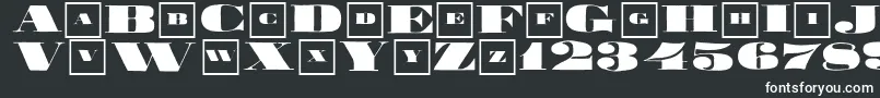 Bigbrotherclassizism Font – White Fonts on Black Background