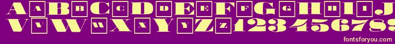 Bigbrotherclassizism Font – Yellow Fonts on Purple Background