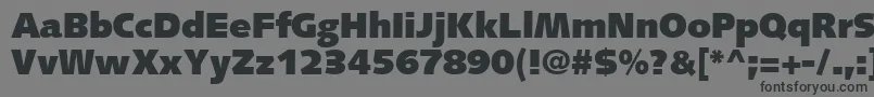 SyntaxLtUltrablack Font – Black Fonts on Gray Background