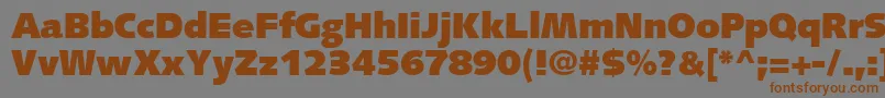 SyntaxLtUltrablack Font – Brown Fonts on Gray Background