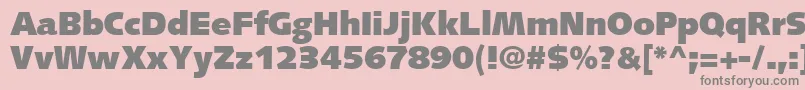SyntaxLtUltrablack Font – Gray Fonts on Pink Background
