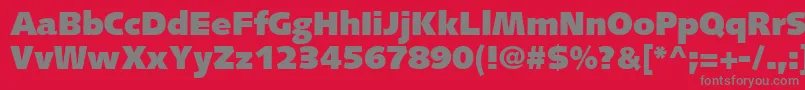 フォントSyntaxLtUltrablack – 赤い背景に灰色の文字