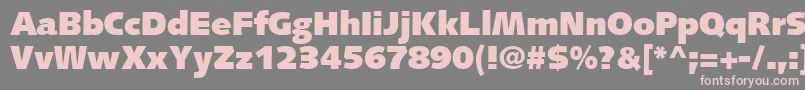 SyntaxLtUltrablack Font – Pink Fonts on Gray Background