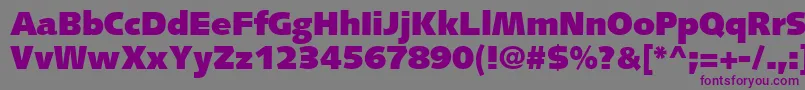SyntaxLtUltrablack Font – Purple Fonts on Gray Background