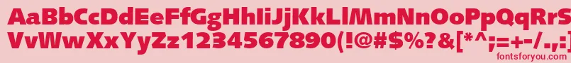 SyntaxLtUltrablack Font – Red Fonts on Pink Background