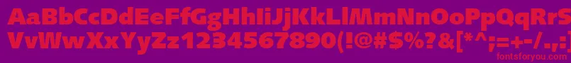 SyntaxLtUltrablack Font – Red Fonts on Purple Background