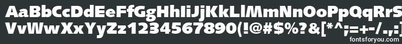 SyntaxLtUltrablack Font – White Fonts