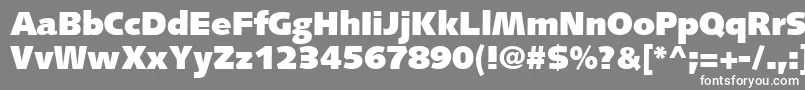 SyntaxLtUltrablack Font – White Fonts on Gray Background