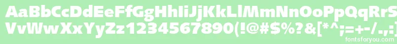 SyntaxLtUltrablack Font – White Fonts on Green Background