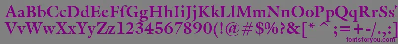 GalleryBold Font – Purple Fonts on Gray Background