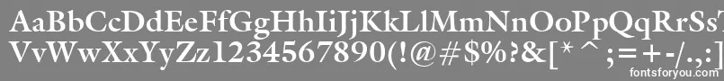 フォントGalleryBold – 灰色の背景に白い文字