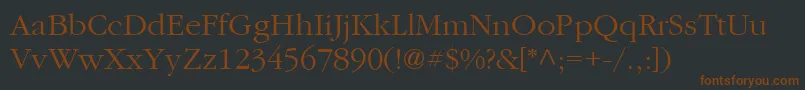 Шрифт ItcGaramondLtLight – коричневые шрифты на чёрном фоне