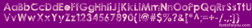 Zeebraa Font – Pink Fonts on Purple Background