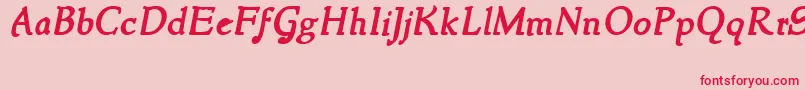 NewstyleBoldItalic Font – Red Fonts on Pink Background