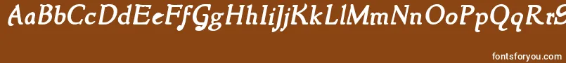 Подробнее о шрифте NewstyleBoldItalic Шрифт NewstyleBoldItalic – белые шрифты на коричневом фоне