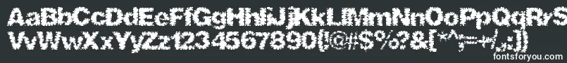 Shredhard Font – White Fonts