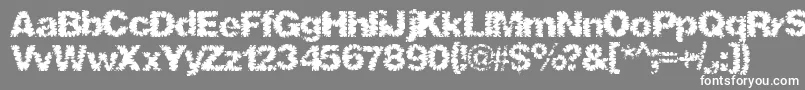 Shredhard Font – White Fonts on Gray Background