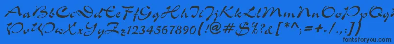 ShowerdbNormal Font – Black Fonts on Blue Background